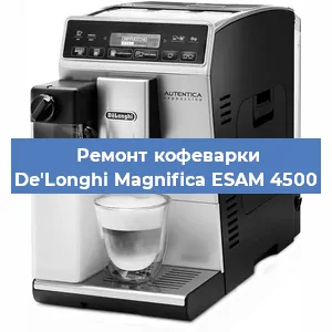 Чистка кофемашины De'Longhi Magnifica ESAM 4500 от кофейных масел в Тюмени